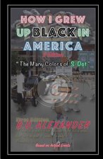 How I Grew Up, Black In America: The Many Colors of S-Dot