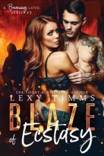 Blaze of Ecstasy: Military Fireman Steamy Romance