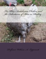 The Blue Andalusian Chicken and the Inheritance of Blue in Poultry