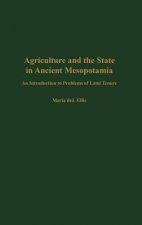 Agriculture and the State in Ancient Mesopotamia: An Introduction to Problems of Land Tenure