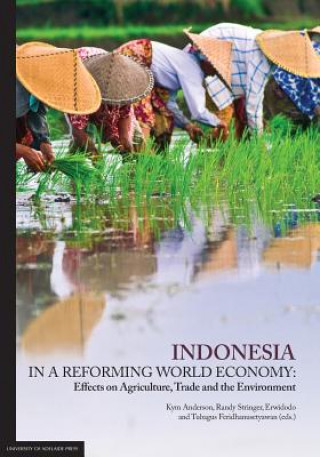 Indonesia in a Reforming World Economy