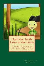 Dash the Turtle Lives in the Grass