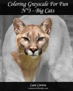Coloring Grayscale For Fun - N°3 - Big Cats: 25 Big Cats Grayscale images to color and bring to life