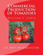 Commercial Production of Tomatoes
