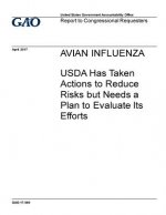 Avian influenza, USDA has taken actions to reduce risks but needs a plan to evaluate its efforts: report to congressional requesters.