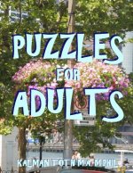 Puzzles for Adults: 111 Large Print Themed Word Search Puzzles
