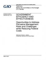 Government efficiency and effectiveness, opportunities to address pervasive management risks and challenges while reducing federal costs: testimony be