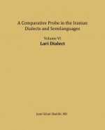 Lari Dialect: A Comparative Probe in the Iranian Dialects and Semi-Languages