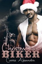 Christmas with the Biker
