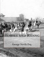 Horses and Riding