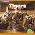 Tigers: A 4D Book