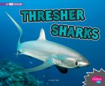 Thresher Sharks: A 4D Book