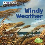 Windy Weather: A 4D Book