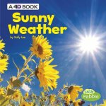 Sunny Weather: A 4D Book