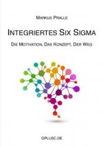 Integriertes Six Sigma