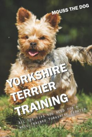 Yorkshire Terrier Training: All the Tips You Need for a Well-Trained Yorkshire Terrier