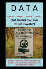Data: (the Primordial and Infinite Swamp)