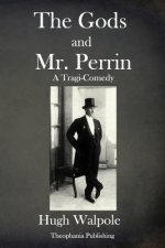 The Gods and Mr Perrin: A Tragi-Comedy