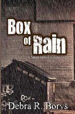 Box of Rain: A Street Stories Suspense Novel