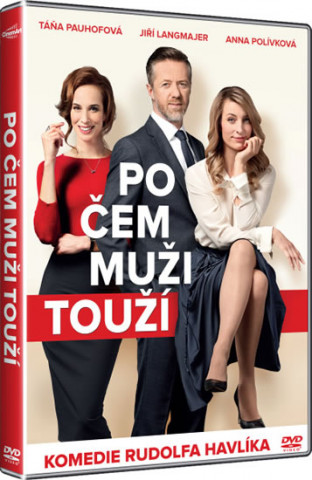 Po čem muži touží - DVD