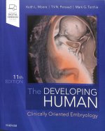 Developing Human