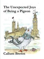 Unexpected Joys of Being a Pigeon