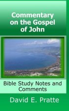 Commentary on the Gospel of John