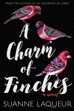 Charm of Finches