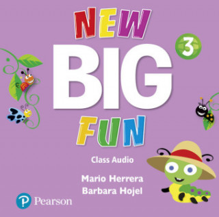 Big Fun Refresh Level 3 Class Audio
