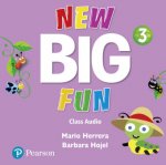 Big Fun Refresh Level 3 Class Audio