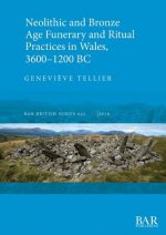 Neolithic and Bronze Age Funerary and Ritual Practices in Wales 3600-1200 BC