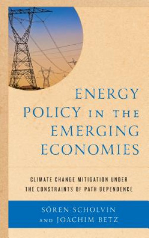 Energy Policy in the Emerging Economies