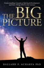 Big Picture