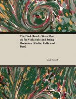 Dark Road - Sheet Music for Viola Solo and String Orchestra (Violin, Cello and Bass)