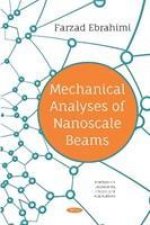 Mechanical Analyses of Nanoscale Beams