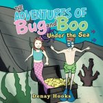 Adventures of Bug and Boo