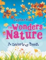 Wonders of Nature (A Coloring Book)