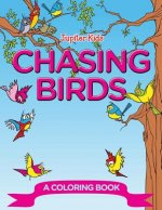 Chasing Birds (A Coloring Book)