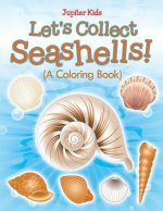 Let's Collect Seashells! (A Coloring Book)