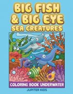 Big Fish & Big Eye Sea Creatures