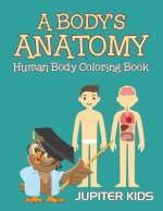 Body's Anatomy