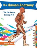 Human Anatomy