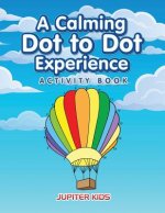 Calming Dot to Dot Experience Activity Book