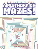 Plethora of Mazes! A Kid's Activity Book