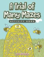 Trial of Many Mazes Activity Book