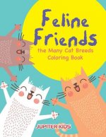 Feline Friends