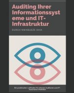 Auditing Ihrer Informationssysteme Und It-Infrastruktur: Ein Praktischer Leitfaden F