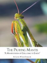 Praying Mantis