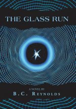 Glass Run