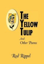 Yellow Tulip